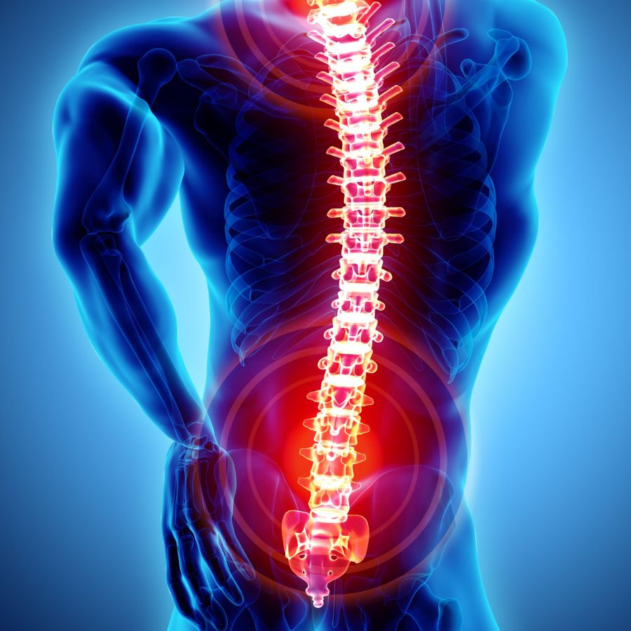 Building on our comprehension of the symptoms and management of disc protrusion, let’s now explore how chiropractic care comes into play and offers relief.